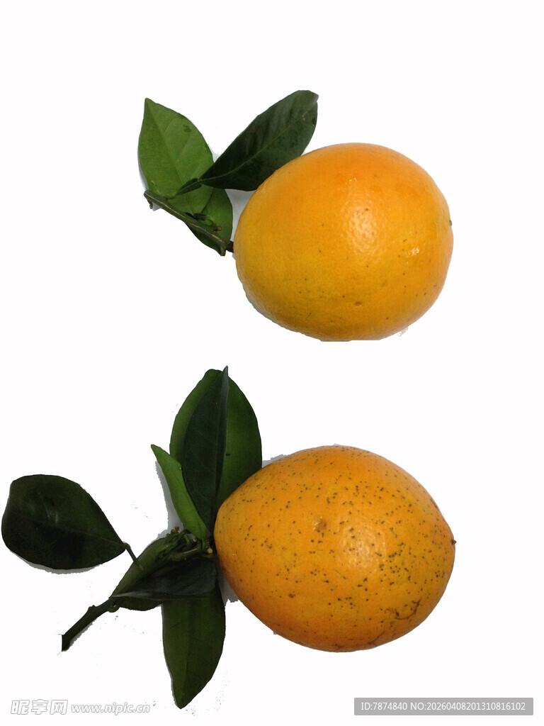 两个带叶鲜橙