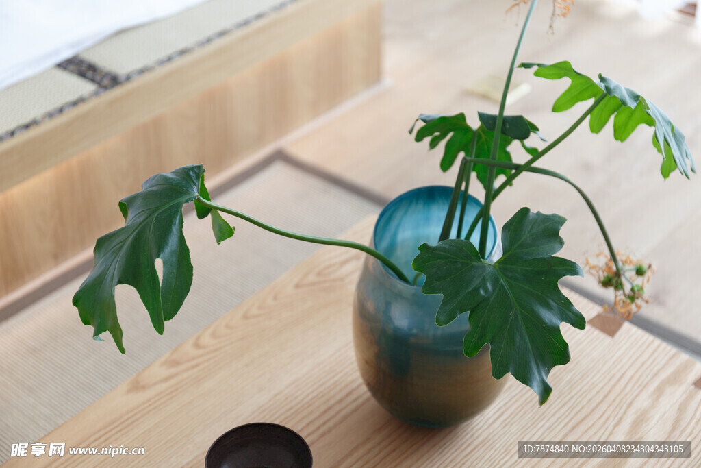 蓝瓶绿植 清新自然小景