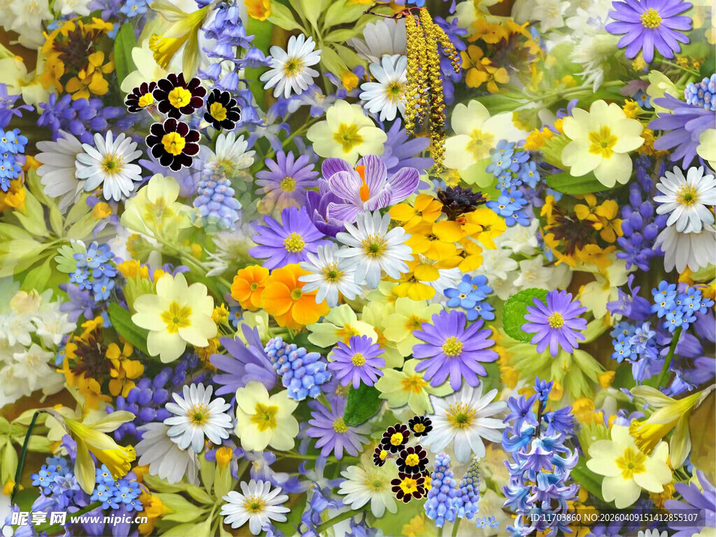 花丛中纷飞的多彩蝴蝶电脑壁纸