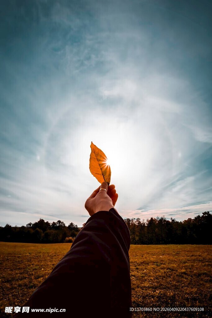 手擎秋叶迎向灿烂阳光