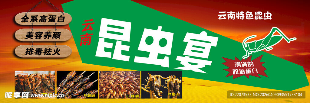 昆虫主题盛宴海报