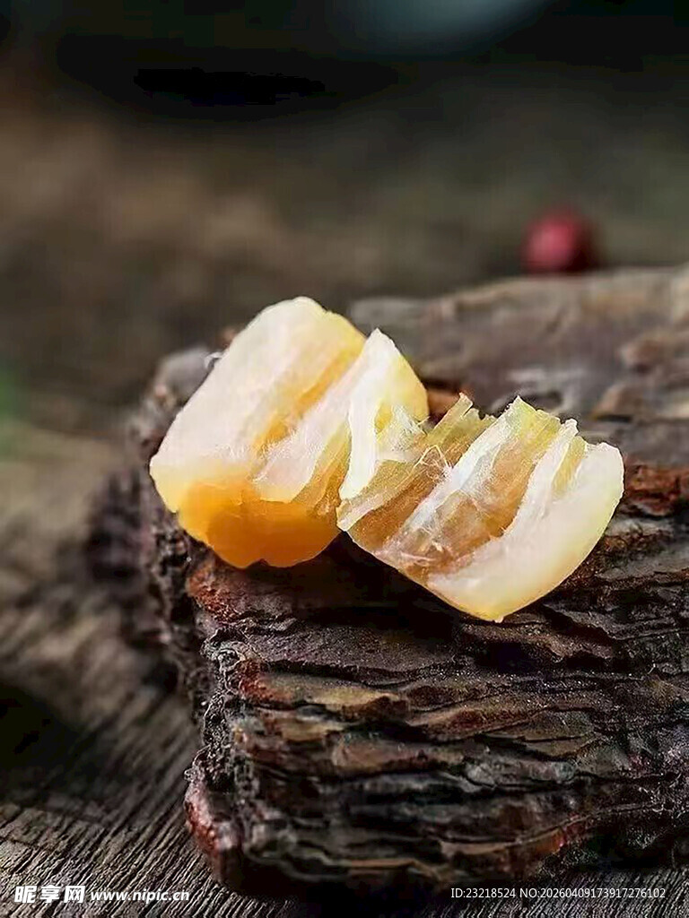 瑶柱