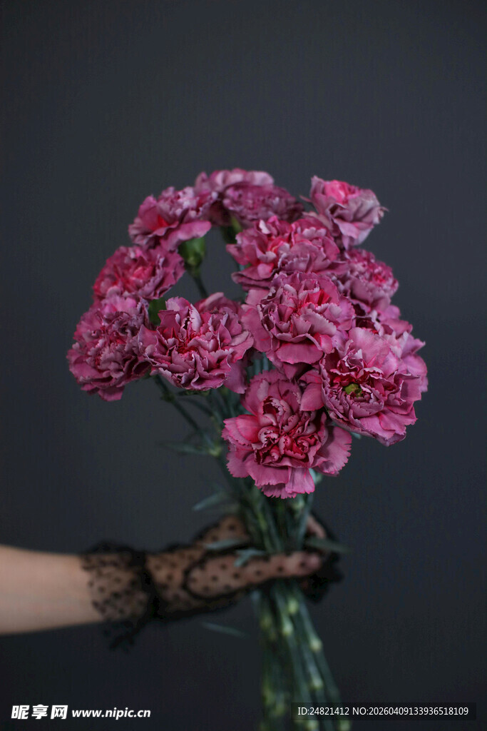 手捧粉色康乃馨花束