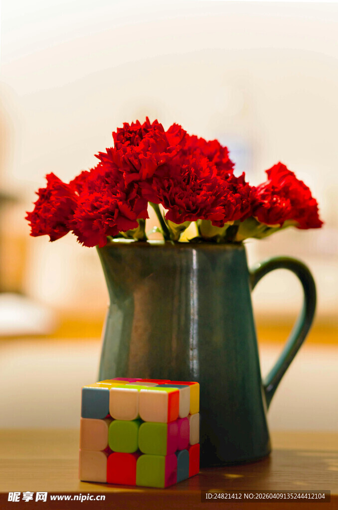 绿壶中盛放的鲜艳红康乃馨