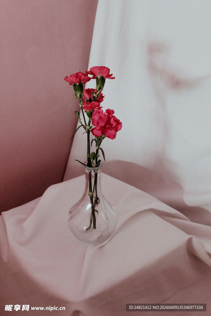 花瓶中绽放的娇艳红花朵