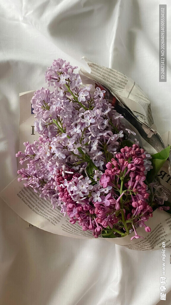 紫粉丁香花束