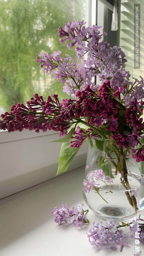 窗台上的紫丁香花束