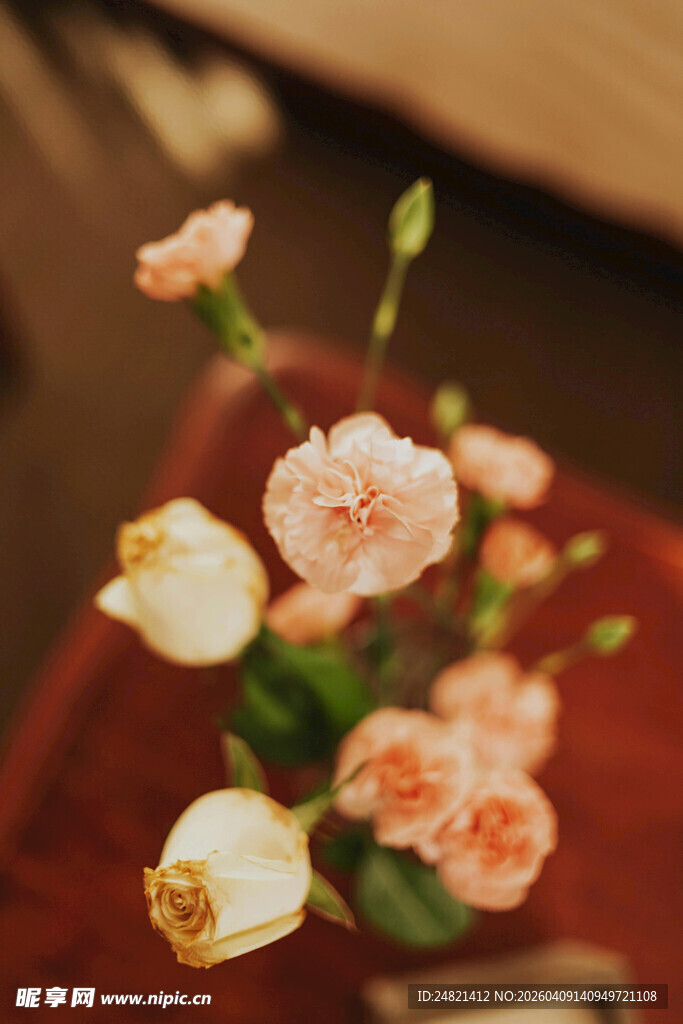 娇艳康乃馨插花