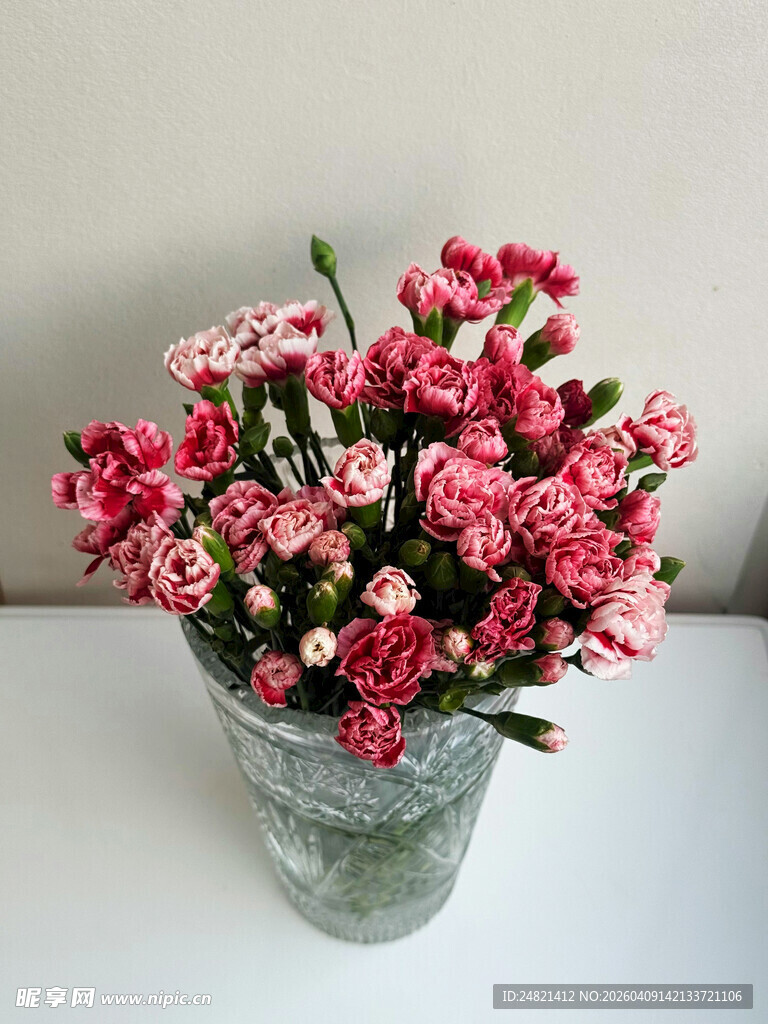 粉色康乃馨插于透明花瓶