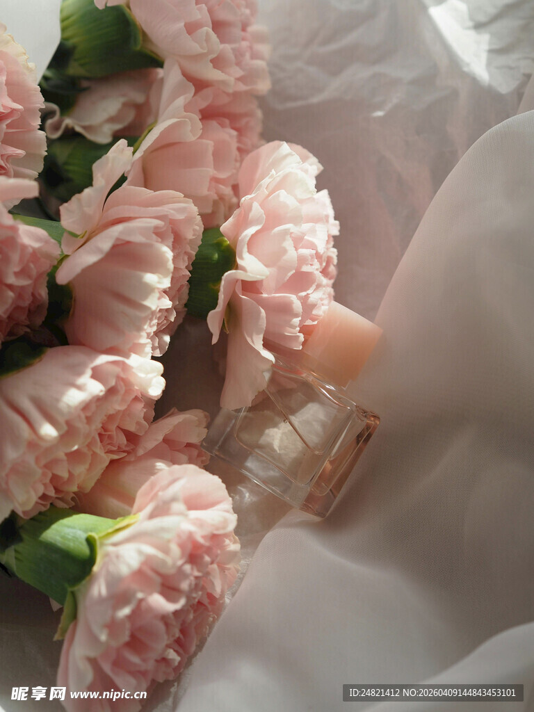 粉色康乃馨花束特写