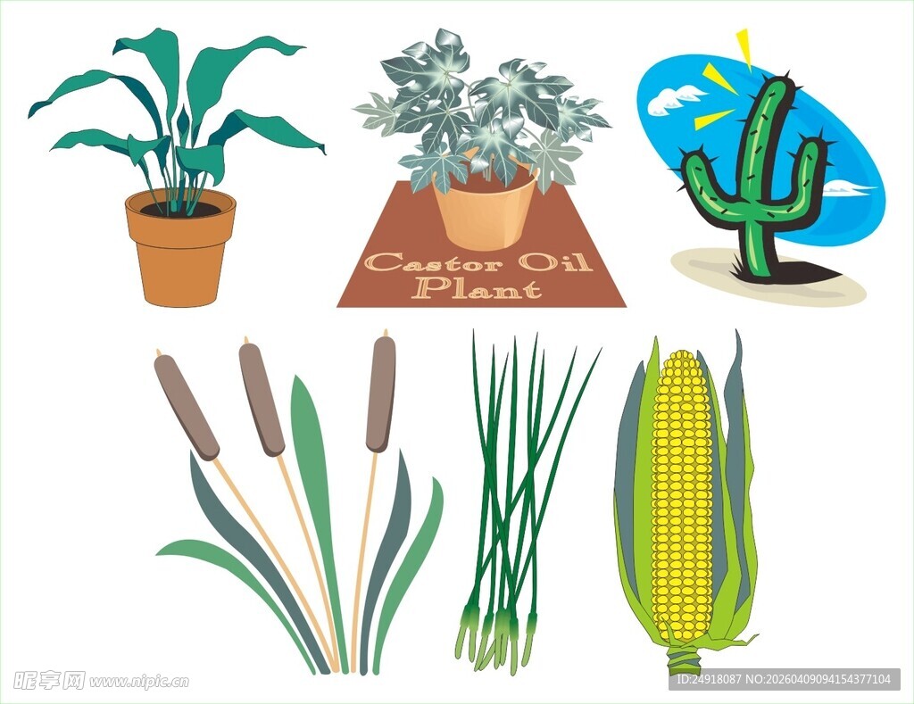 多样植物盆栽展示