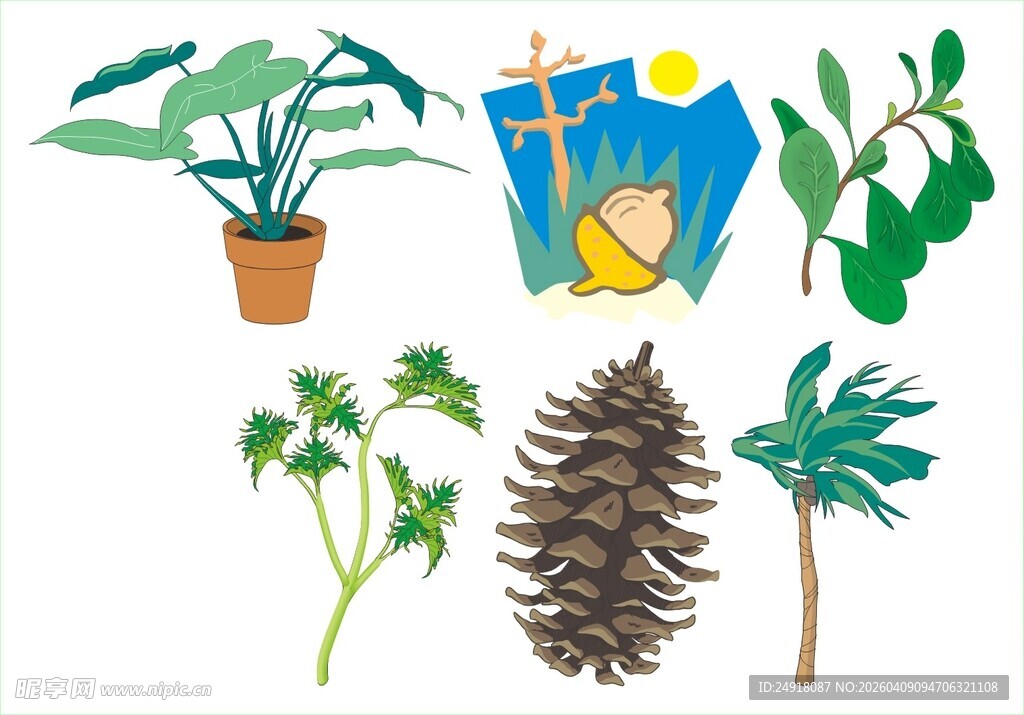 植物与自然元素插画