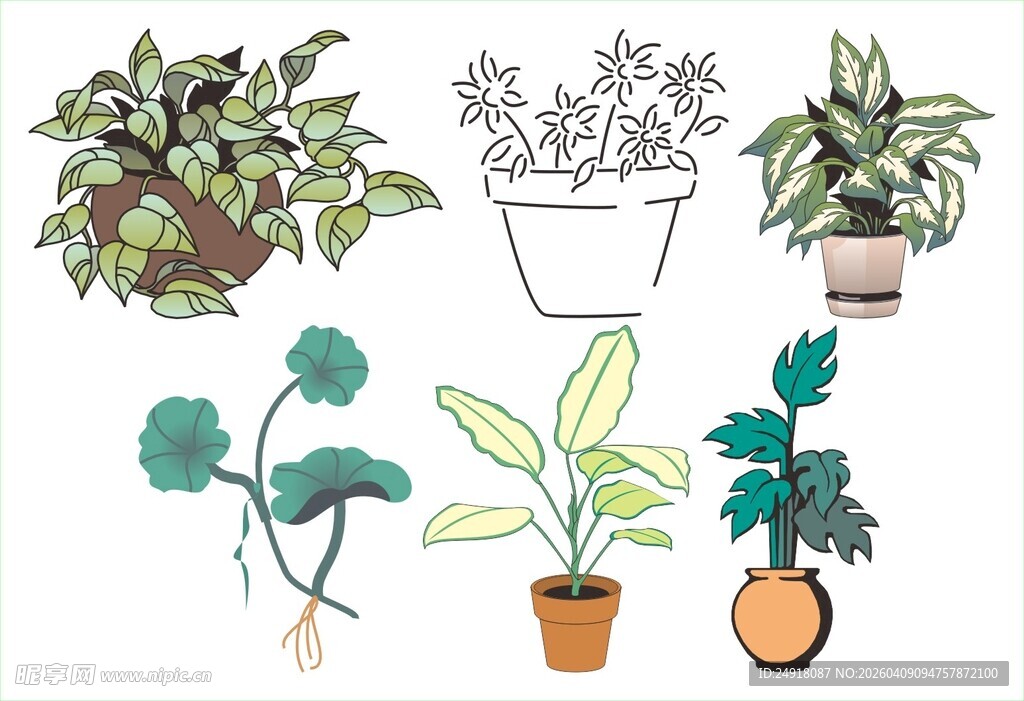 多样盆栽植物插画展示