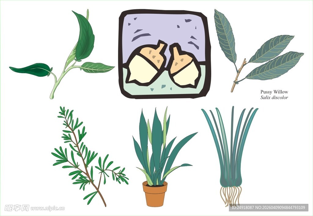 手绘植物插画素材集