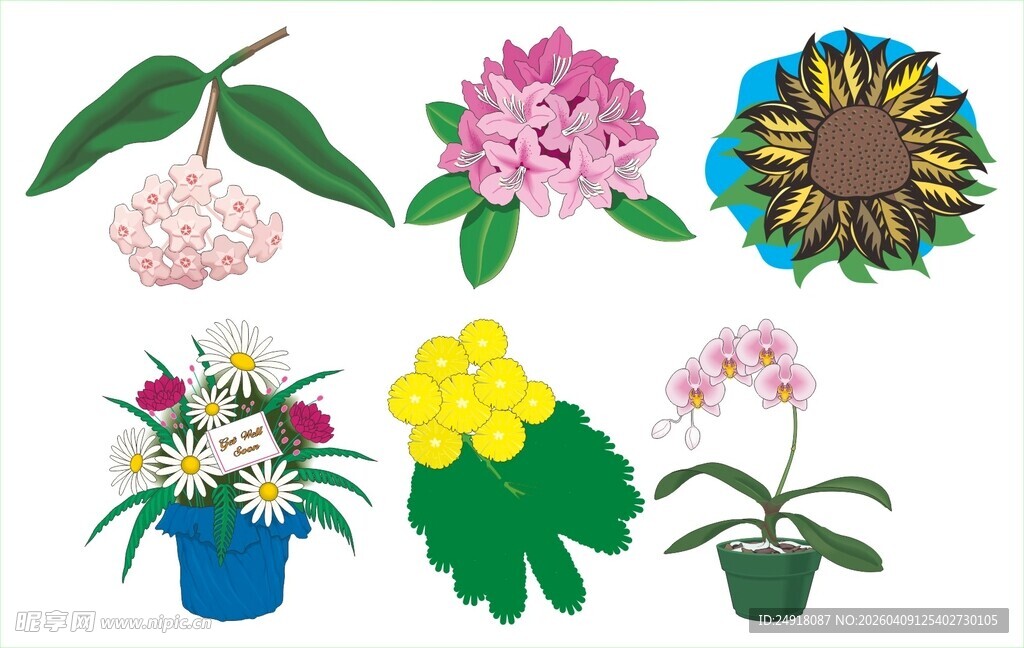 多彩盆栽花卉插画