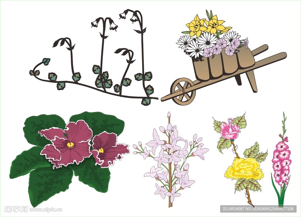 多样花卉与园艺工具图案