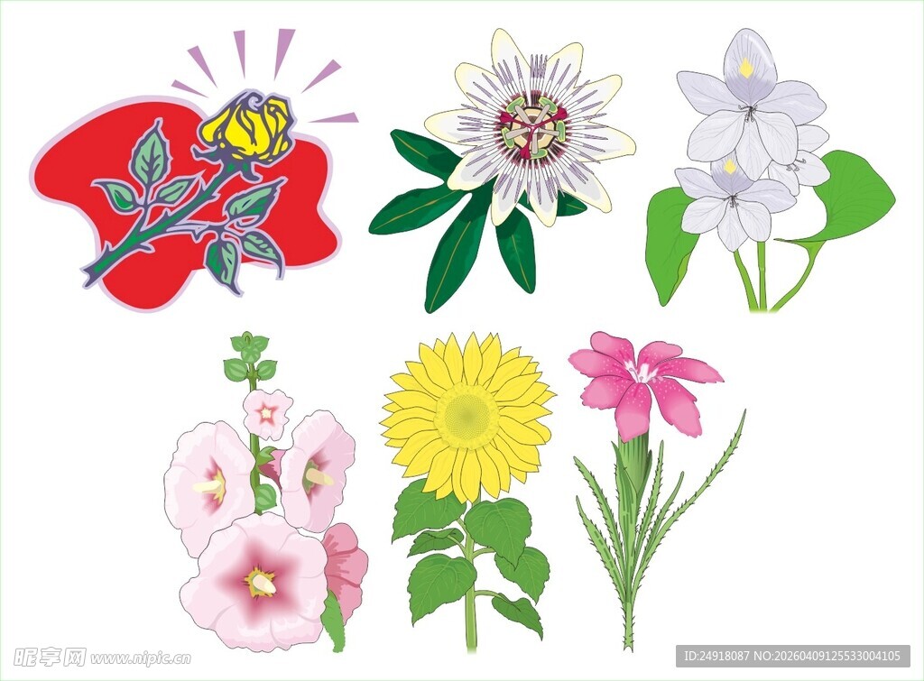 多彩花卉与蜜蜂插画