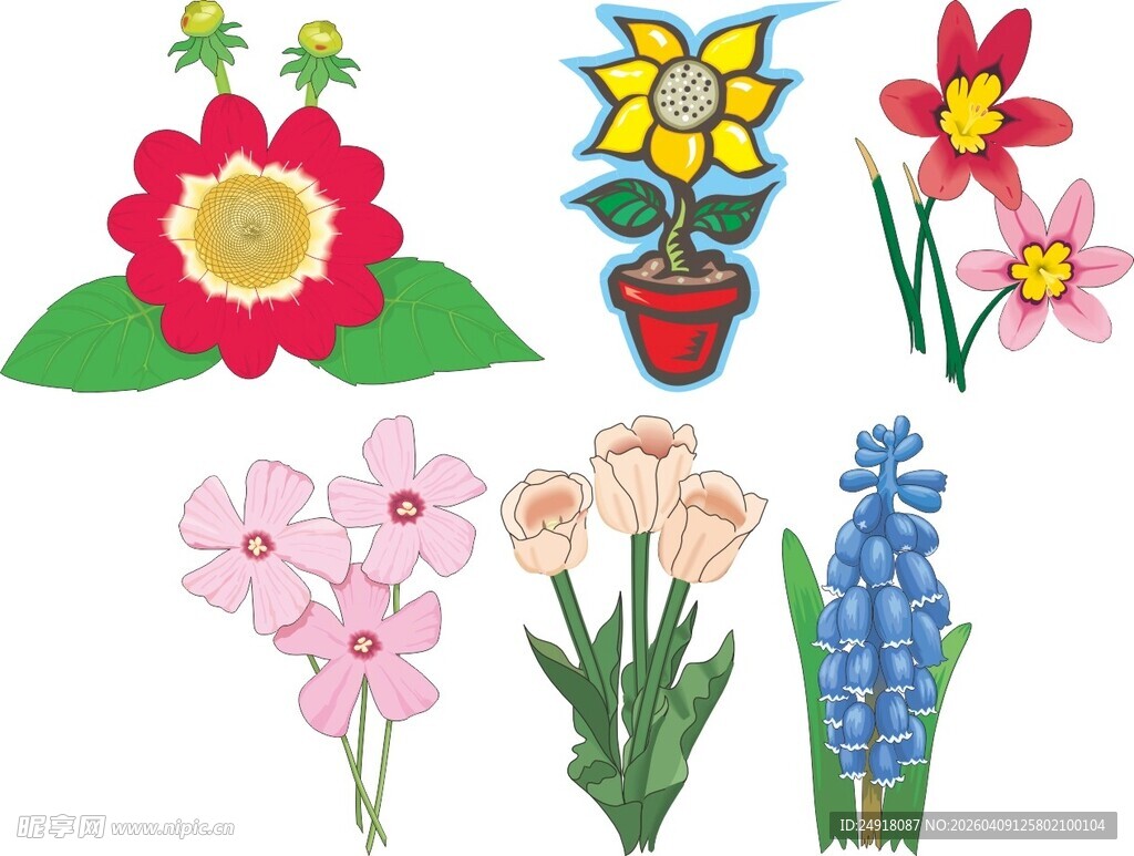 多彩手绘花卉图案集合
