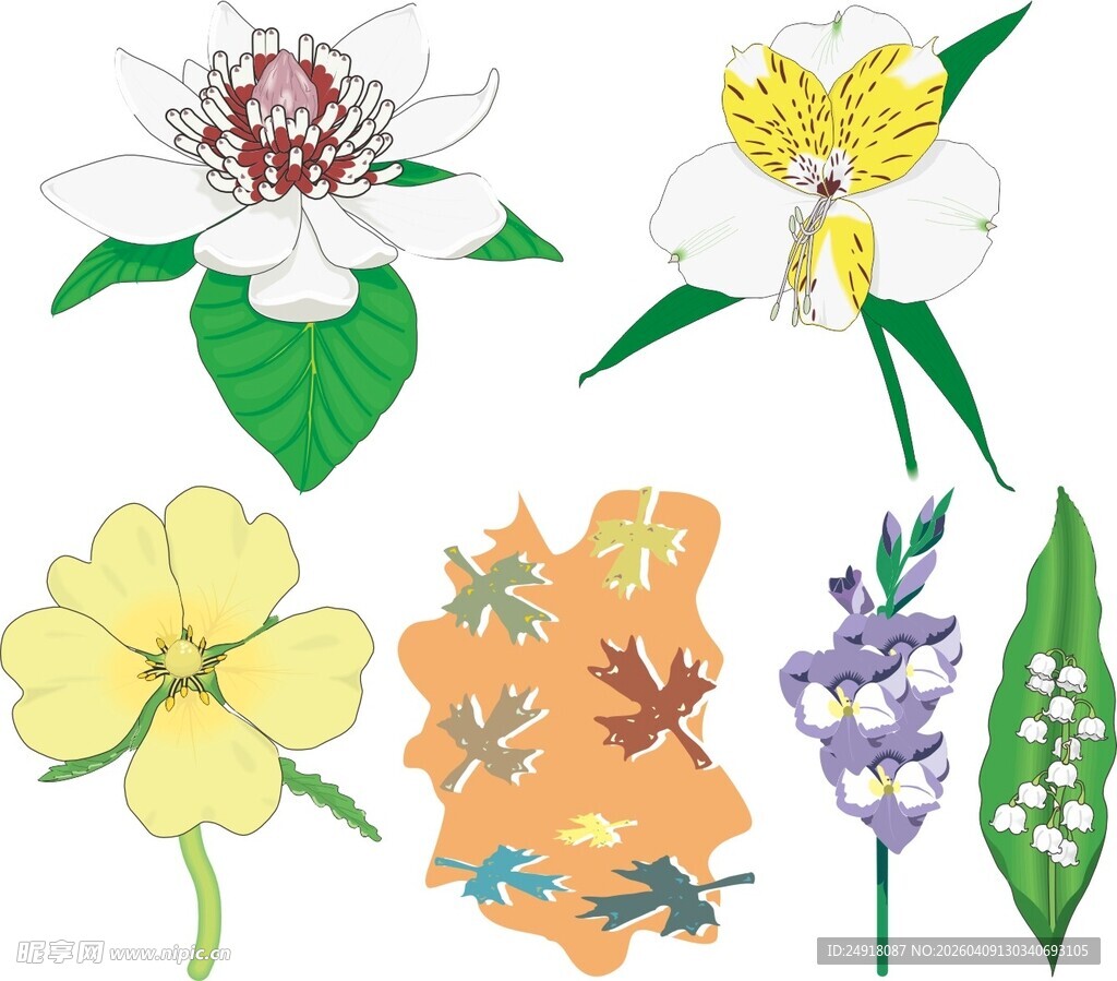 多彩手绘花卉图案集合