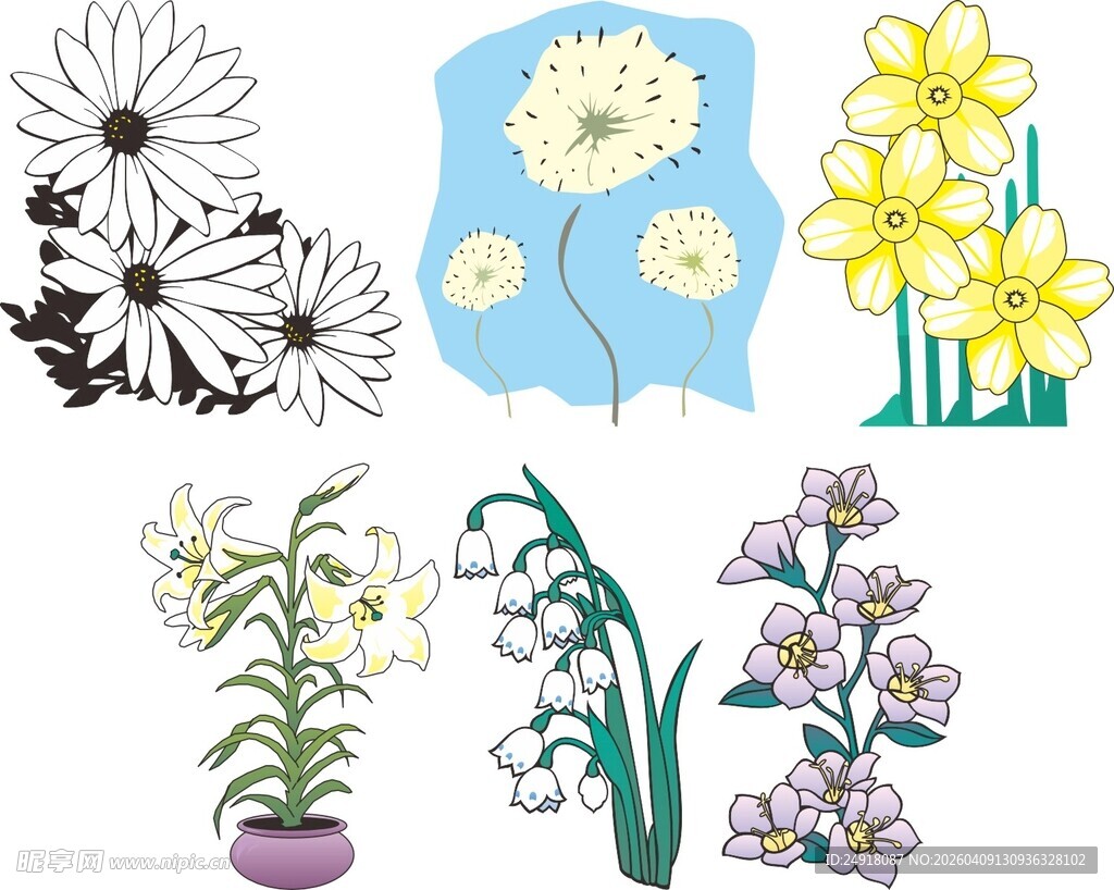 多样花卉插画图案展示