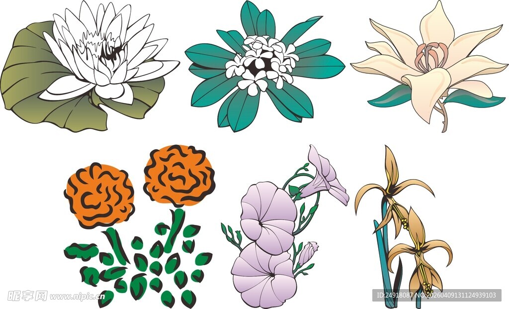 多样花卉植物插画图案