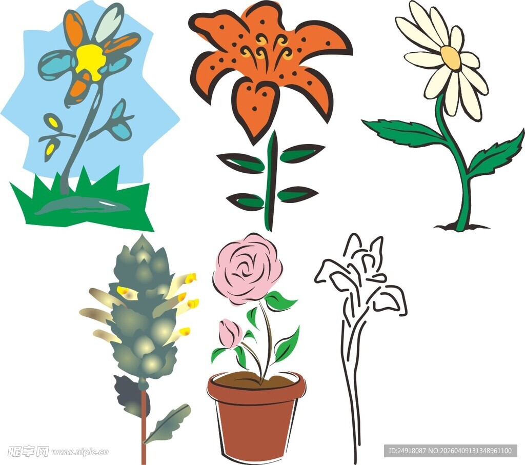 手绘多彩花卉植物插画