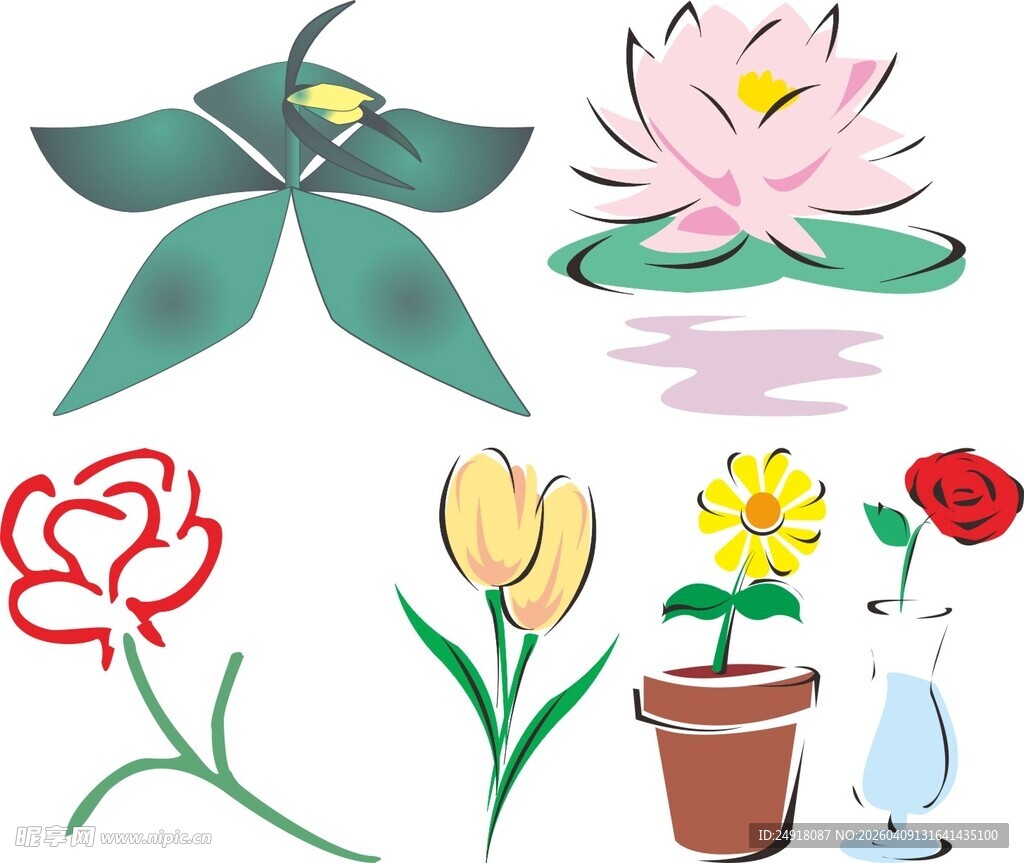 多彩花卉盆栽插画
