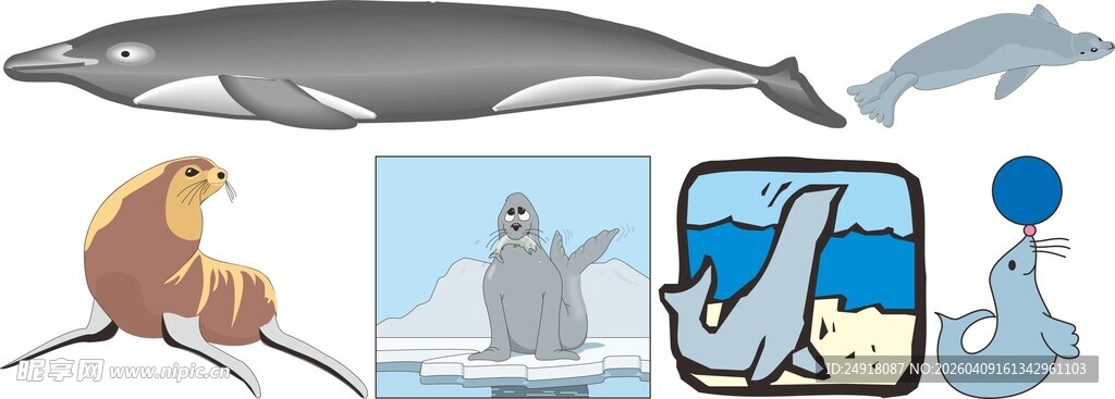 多样动物与卡通形象集合