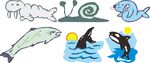 海洋生物插画集合