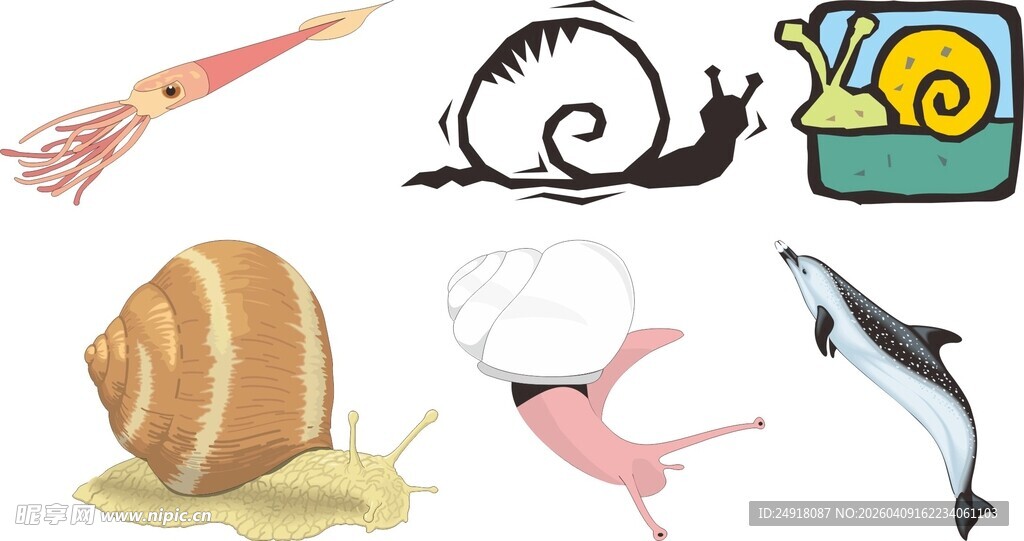 多样海洋陆地生物集合