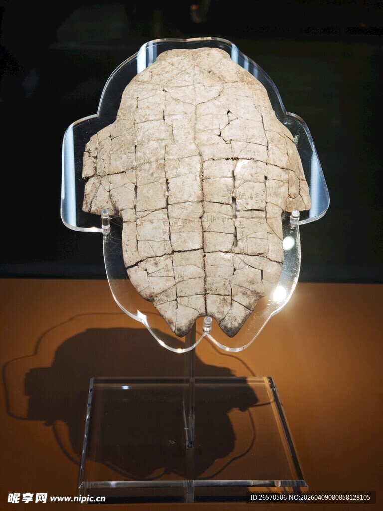 透明展示盒中的白色块状物