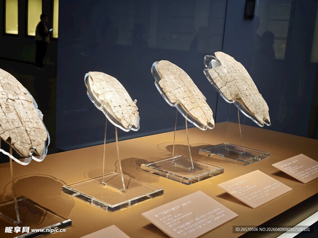 古代精美团扇展示