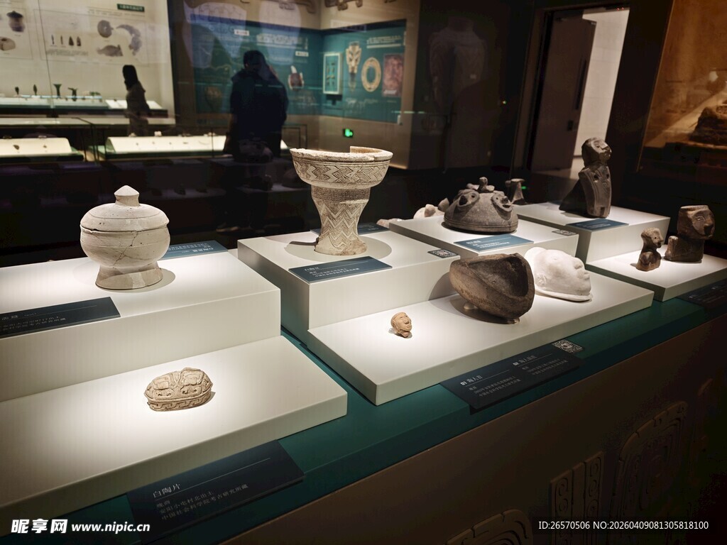 博物馆展柜中的多样文物