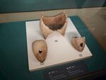 古代陶器残件展示