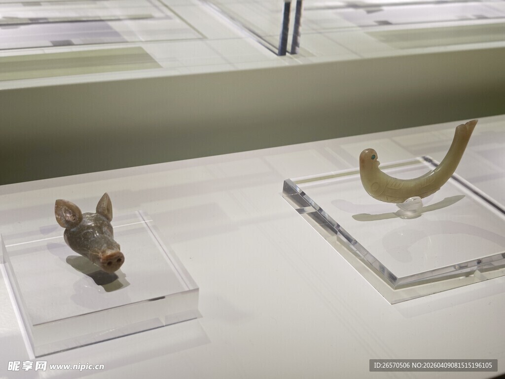 展示台上的古生物化石标本