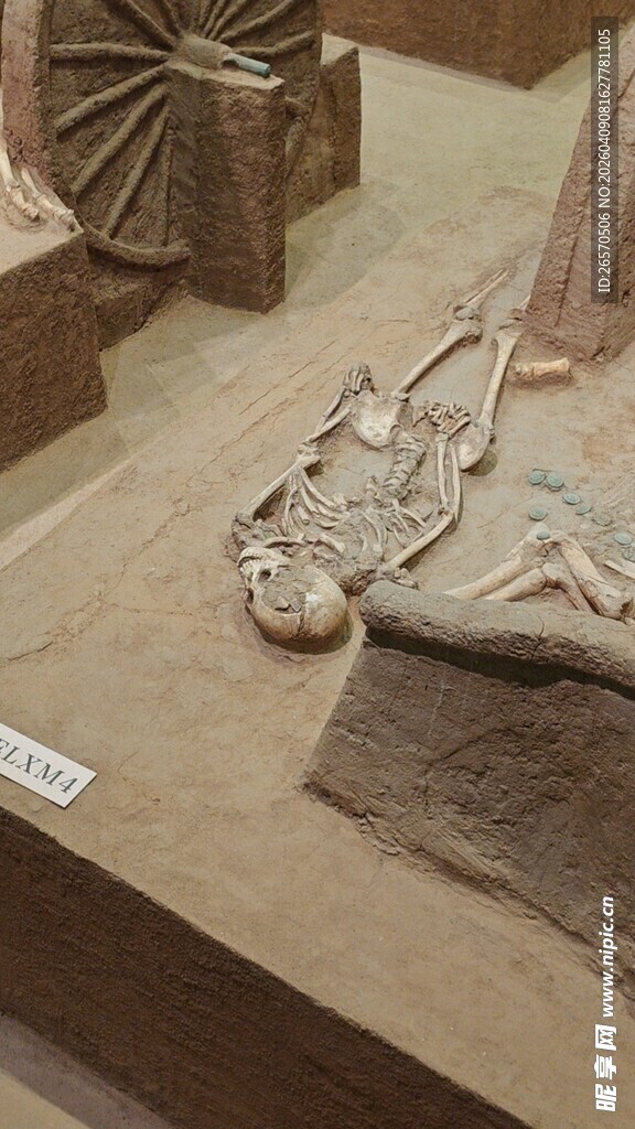 古代神秘兽形文物展示