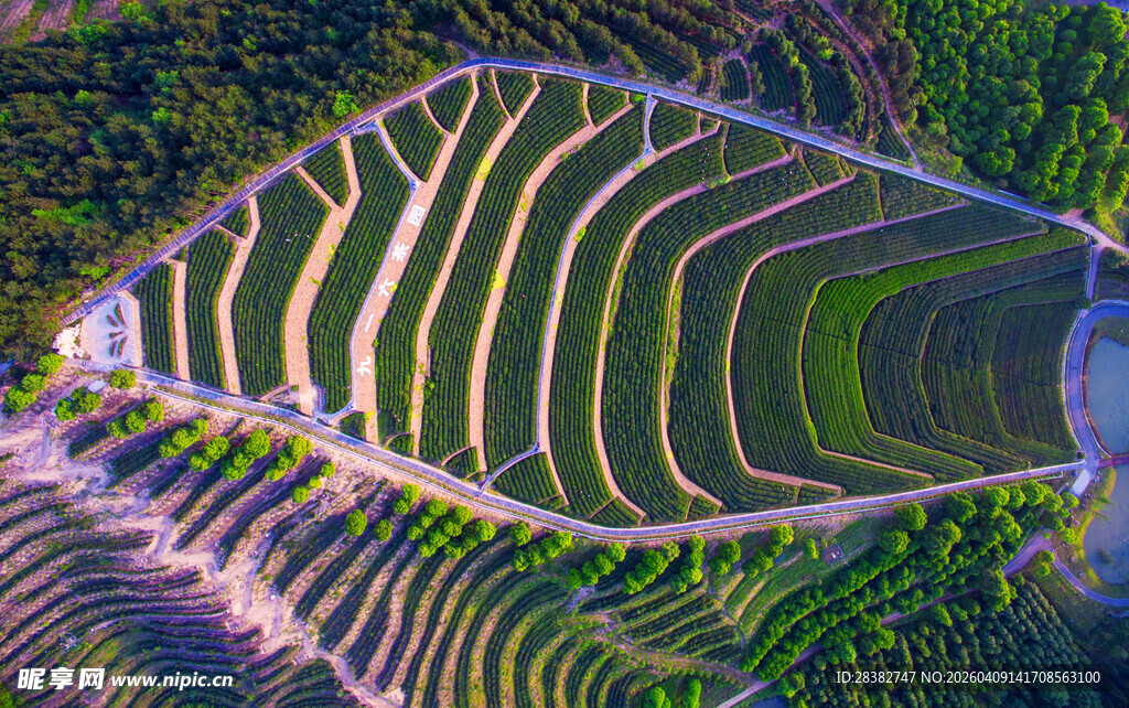航拍美丽壮观的梯田景观 九一六