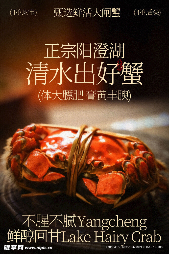 正宗阳澄湖清水大闸蟹美食