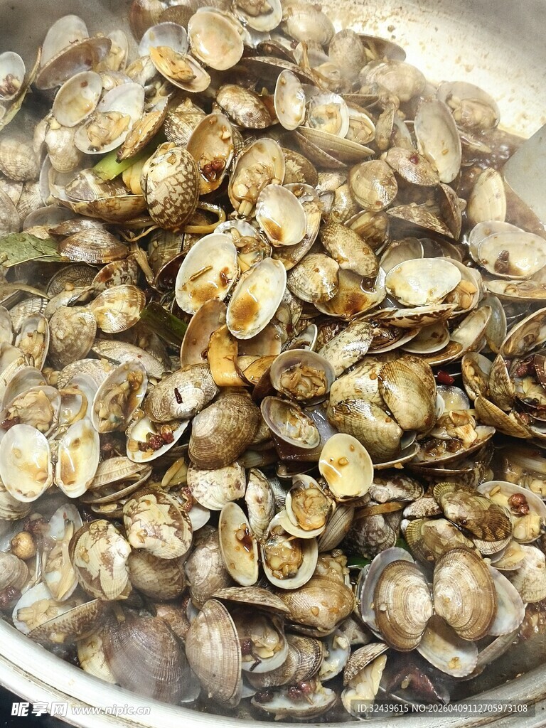 锅中蒸煮的新鲜蛤蜊