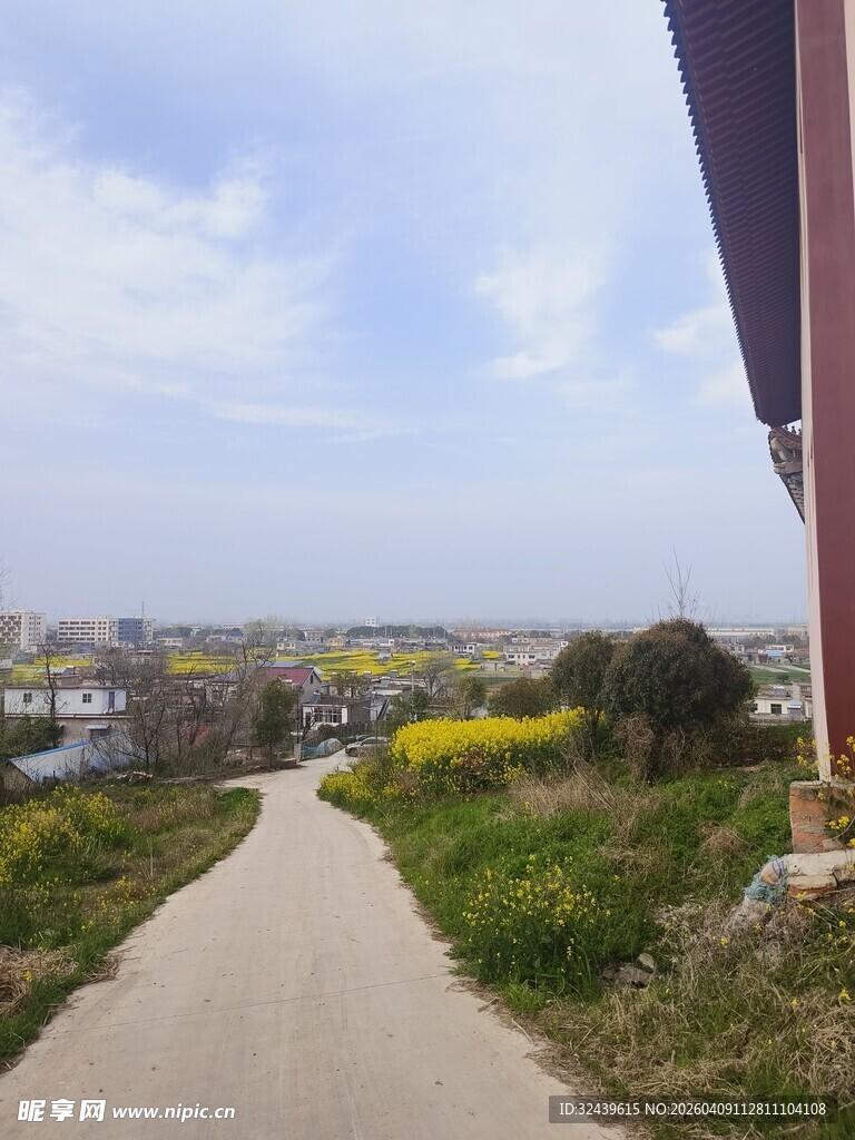 乡间小径的春日风景