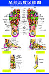 足部反射区详细示意图