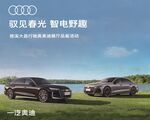 奥迪双车 智享光与野