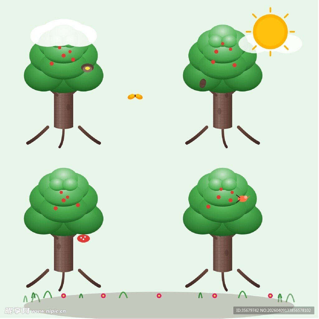 四季变换中的果树成长