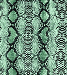 绿黑相间蛇皮纹理图案