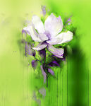 梦幻绿色背景中的素雅花朵