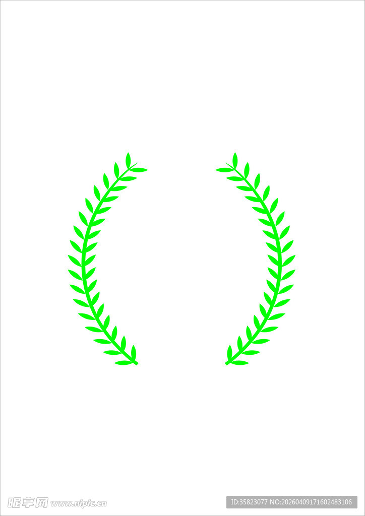 绿色枝条