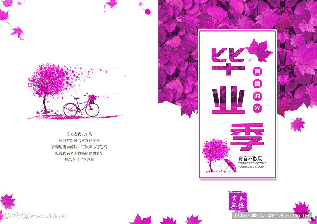 毕业季浪漫画册封面