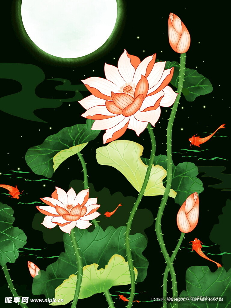 荷塘月色下的荷花与锦鲤