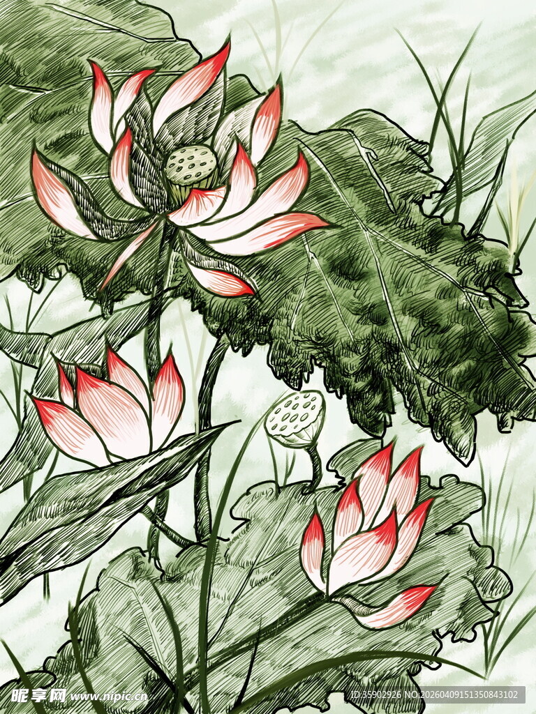 水墨风绽放的娇艳荷花