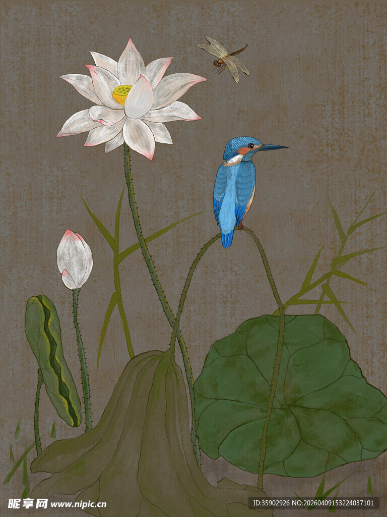 翠鸟立于荷花旁画面